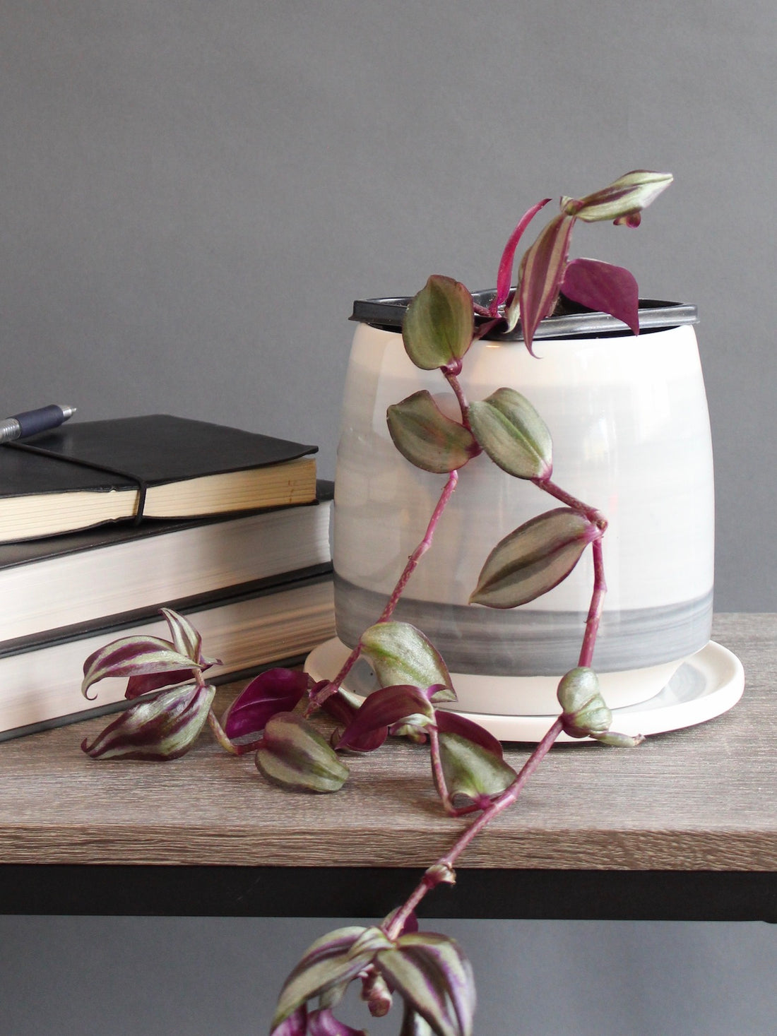 A Planter on your Bedside Table