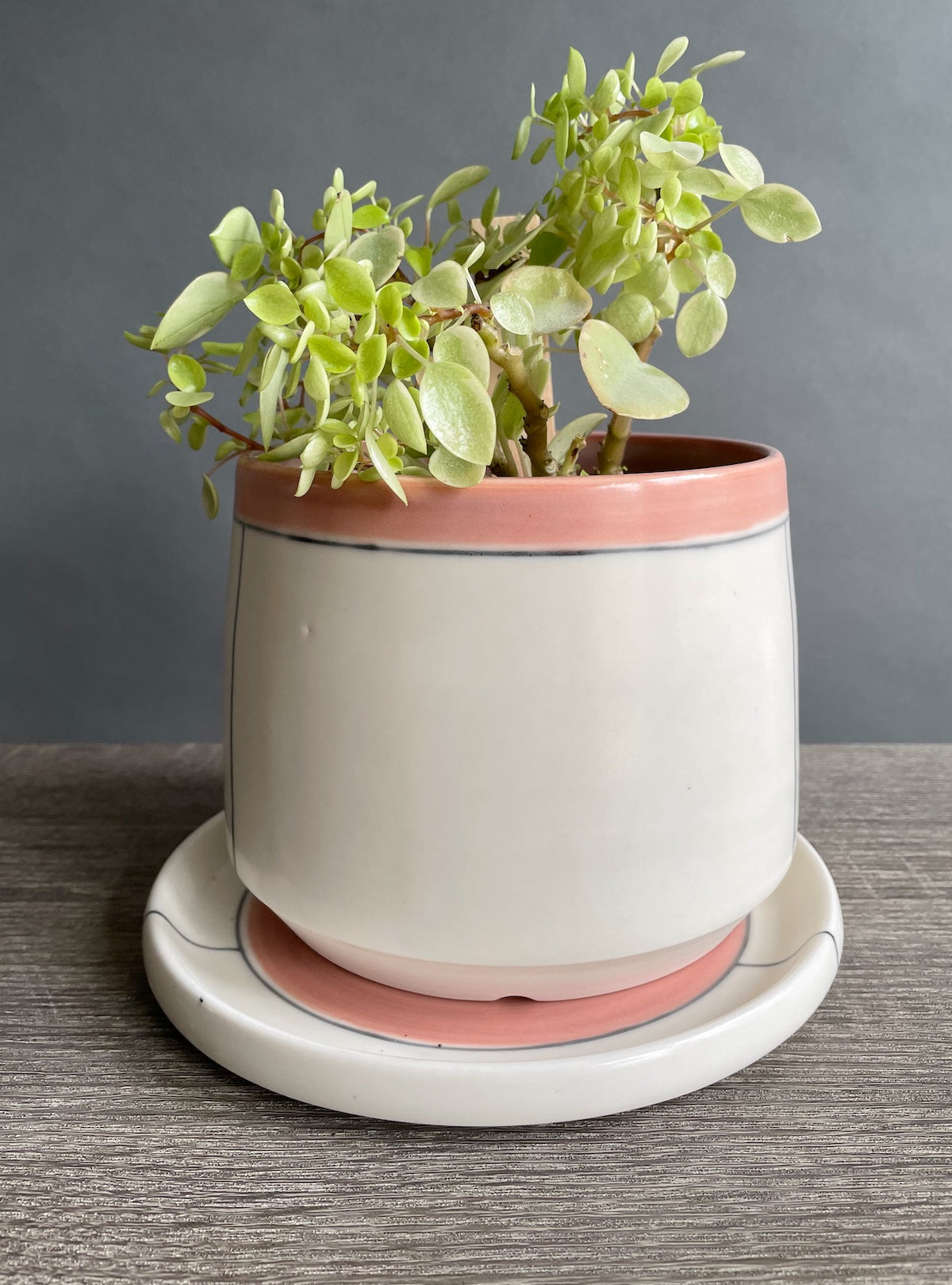 Medium Planter with Saucer - Line & Color Block