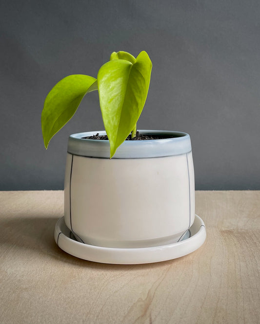 Small Planter with Saucer - Line & Color Block